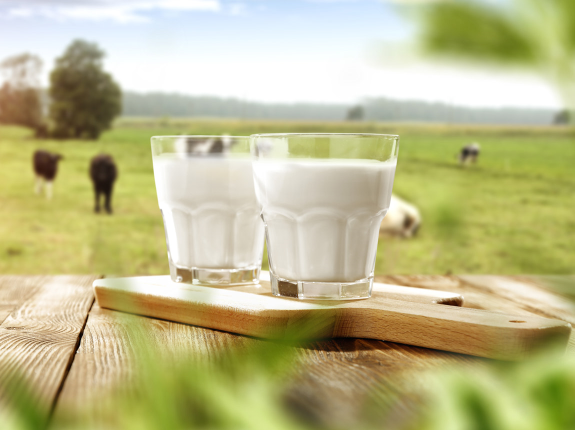Antybiotyki i hormony w mleku. Czy mleko ekologiczne jest zdrowsze? 