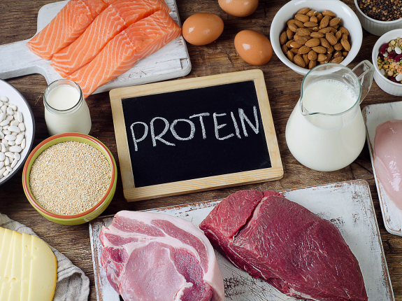Białko i odżywki białkowe - kompendium wiedzy